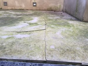 Stone floor restoration